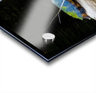 JBS 1007 Acrylic print