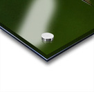 JBS 1467 Acrylic print