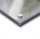 DSC 1902  Acrylic print