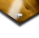 DSC 1717  Acrylic print