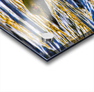 JBS 2215  Acrylic print