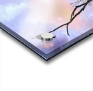 DSC 0357  Acrylic print