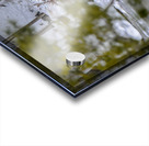  JBS5840 1 Acrylic print