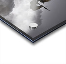 JBS 5291  Acrylic print