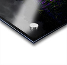 ZJS 7780  Acrylic print