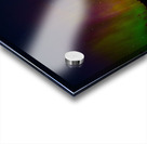 ZJS 7130  Acrylic print