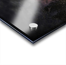 ZJS 6936  Acrylic print