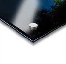 ZJS 8379  Acrylic print