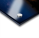 ZJS 8396  Acrylic print