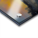 JBS 5132  Acrylic print