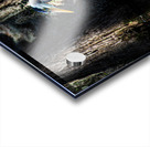 DSC 0216 2 Acrylic print