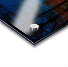 JBS 6767  Acrylic print