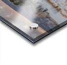 ZJS 9136  Acrylic print