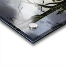 Eagle-Gogama Acrylic print