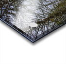 JBS 5217 Acrylic print