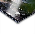 JBS 3491 2 Acrylic print