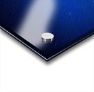 LUPINS1 Acrylic print