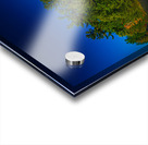 JBS 4806  Acrylic print