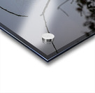 ZJS 8305  Acrylic print