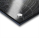 ZJS 8300  Acrylic print