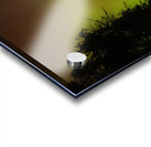 JBS 2069  Acrylic print