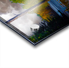  JBS4221  Acrylic print