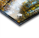 JBS 7125  Acrylic print