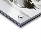 JBS 5025 Acrylic print