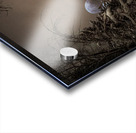 Z62 0235 2  Acrylic print