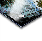 JBS 5227 Acrylic print