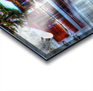 JBS 8335  Acrylic print