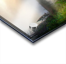 JBS 2558  Acrylic print