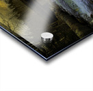 JBS 9699  Acrylic print