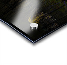 JBS 9682  Acrylic print