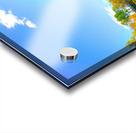 JBS 6991  Acrylic print