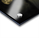 JBS 4030  Acrylic print