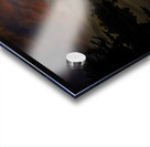 JBS 6980  Acrylic print