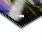 JBS 9699  Acrylic print