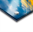 JBS 5301 Acrylic print