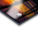 JBS 9799 Acrylic print