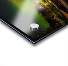 JBS 2315 Acrylic print