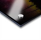 JBS 1455 2 Acrylic print