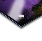 JBS 4855 Acrylic print