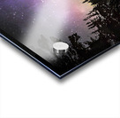 JBS 4427  Acrylic print