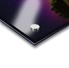 JBS 0554  Acrylic print