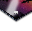 DSC 1841  Acrylic print