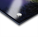 JBS 4147 Acrylic print