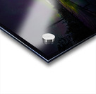 JBS 4794  Acrylic print