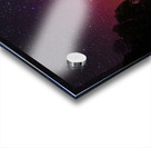 DSC 1684  Acrylic print