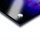 Swamp Northern Lights Acrylic print